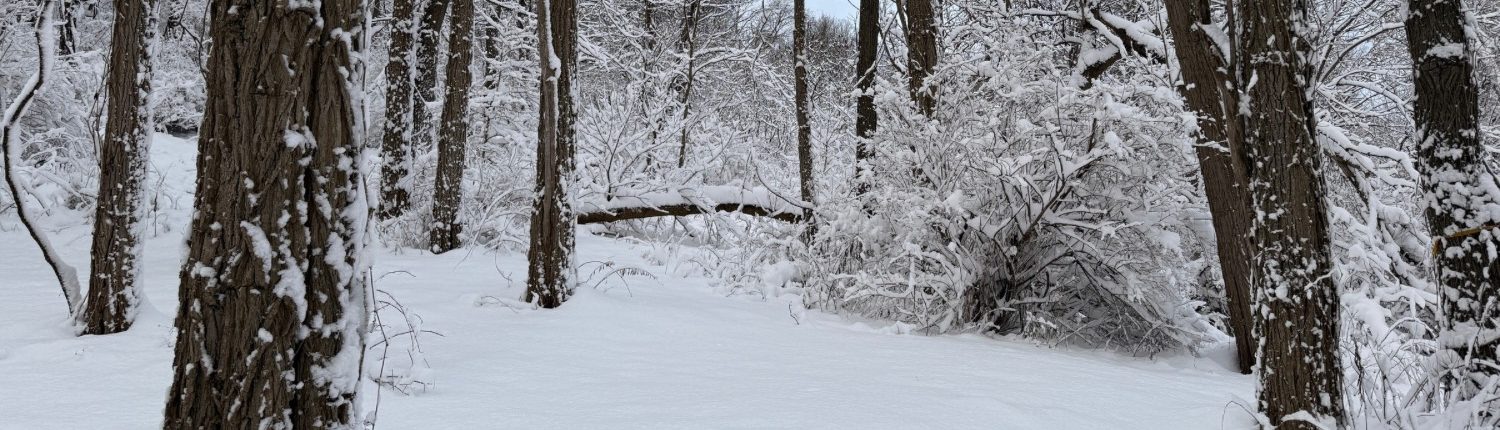 Mohawk Valley Today Featured Weekend Events