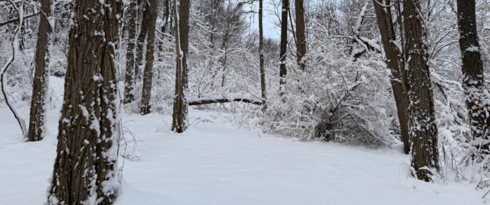 Mohawk Valley Today Featured Weekend Events