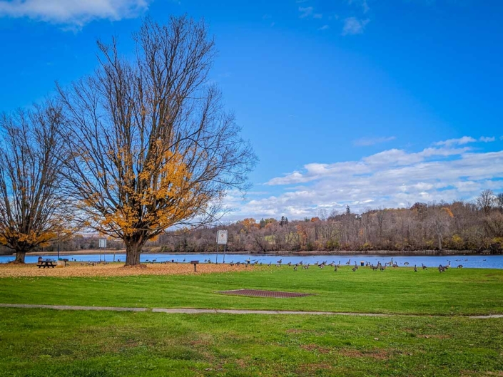 Creative Placemaking in the Mohawk Valley-25