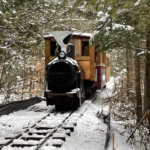UCSV Train in Winter forest