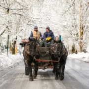 Cooperstown Winter Carnival - Horse Drawn Wagon Ride