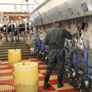 Milking Parlor Dairy Technology Tuesday