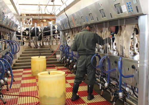 Milking Parlor Dairy Technology Tuesday