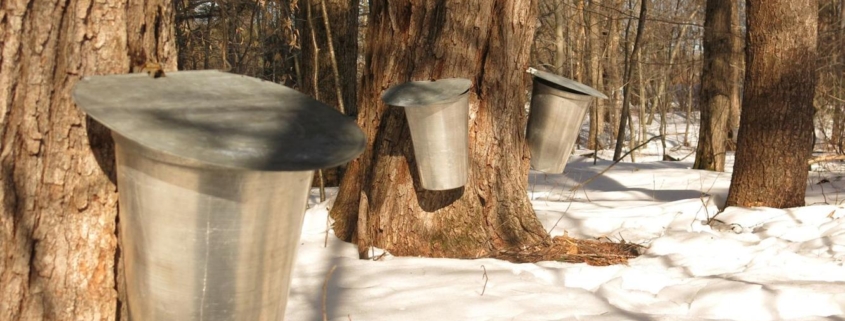 RETURN TO SUGAR BUSH! SUGARING OFF! At Herkimer Home State Historic Site