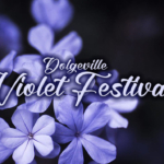 2023 Dolgeville Violet Festival Banner