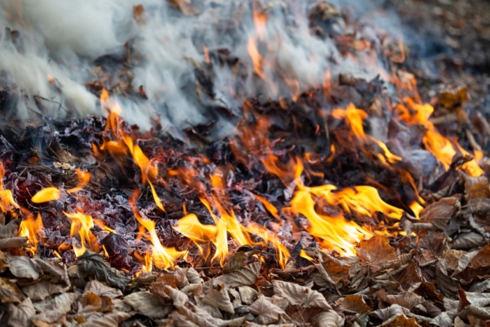 Temporary Burn Ban Oct 2025 Wildfire Safety