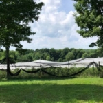 Blueberry Hill Farm