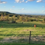 Hu-Hill Farm Banner