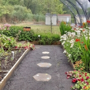 Inside the Butterfly House