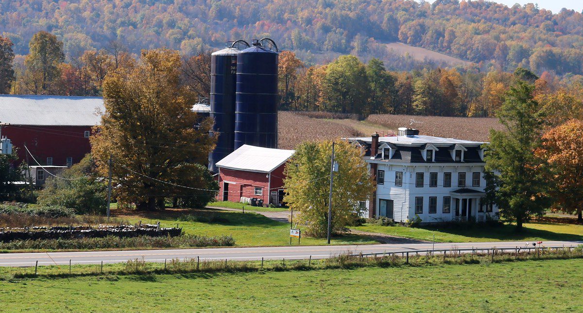 Damin Farm, image by Damin Farm