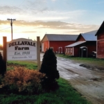 Dellavale Farm