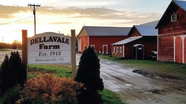 Dellavale Farm