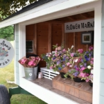 Little Ann’s Flowers