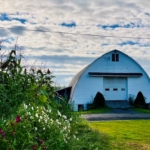 Rizzo Farm