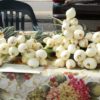Little Falls Farmers Market