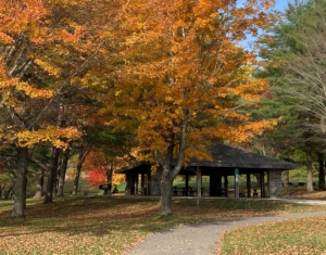 Glimmerglass State Park, Photo from Glimmerglass State Park Facebook page