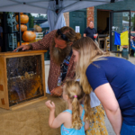 Bee demonstrations by Sleepy Bear Apiary at the Mohawk Valley Garlic Festival • Photo by Sarah Rogers
