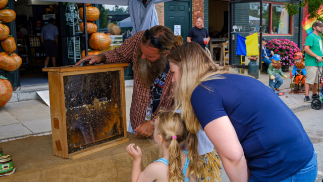Bee demonstrations by Scott Hart, Owner of Sleepy Bear, LLC., at the 2023 Mohawk Valley Garlic Festival • Photo by Sarah Rogers