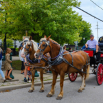 Horse-drawn carriage rides at the Mohawk Valley Garlic Festival • Photo by Sarah Rogers
