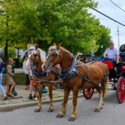Horse-drawn carriage rides at the Mohawk Valley Garlic Festival • Photo by Sarah Rogers