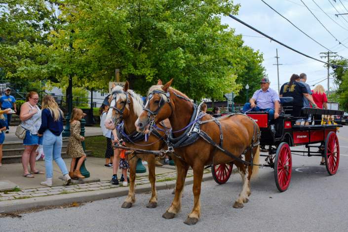 Horse-drawn carriage rides at the Mohawk Valley Garlic Festival • Photo by Sarah Rogers