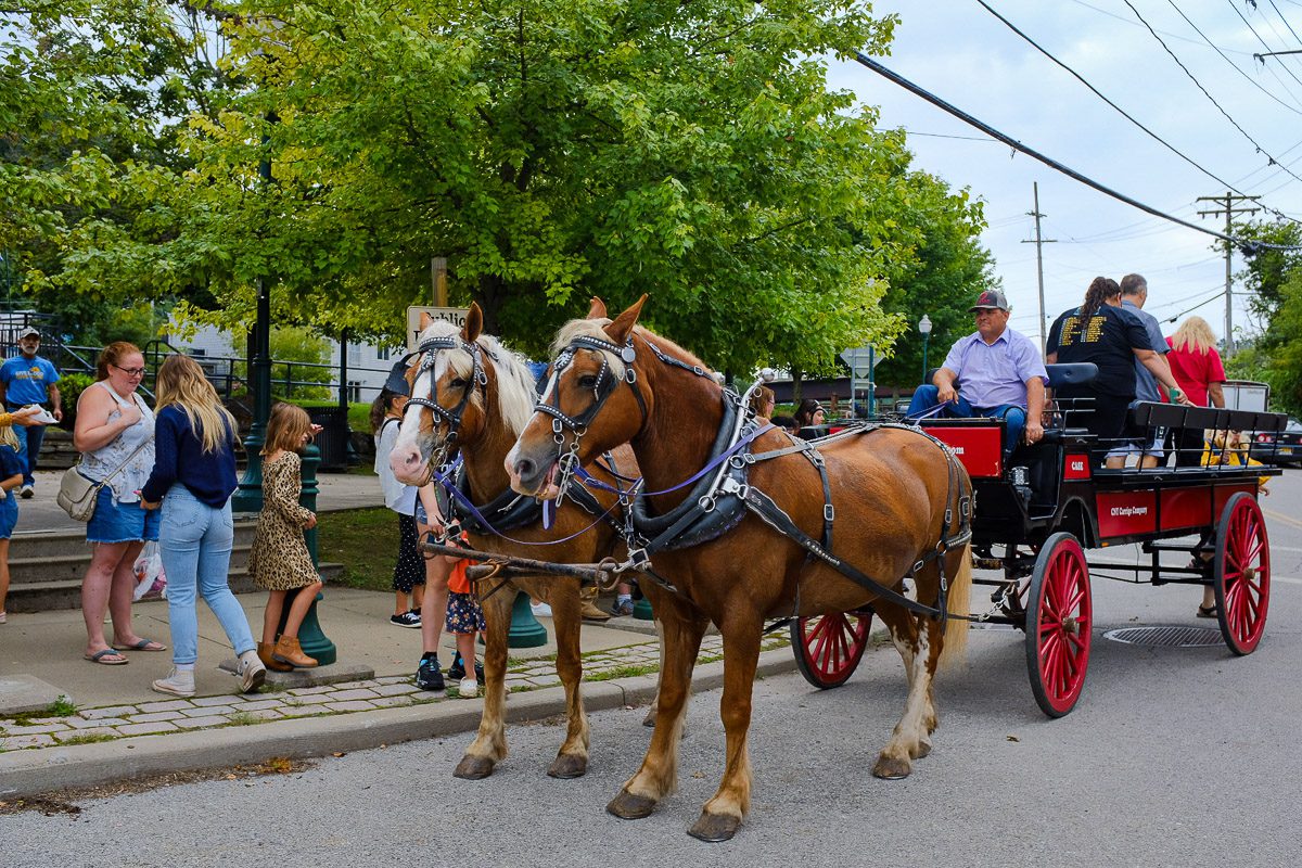 Horse-drawn carriage rides at the Mohawk Valley Garlic Festival • Photo by Sarah Rogers