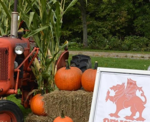 Remsen Barn Festival of the Arts, image by Remsen Barn Festival of the Arts