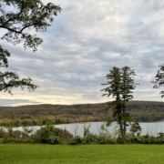 Lake view at Hyde Hall