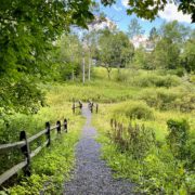 Mohawk Valley Trails