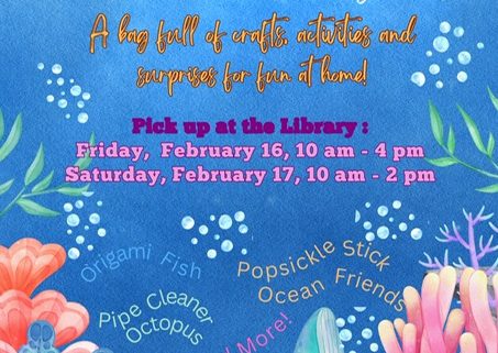 Under the Sea Grab n Go Bags for Kids at the Old Forge Library Presidents Day Weekend