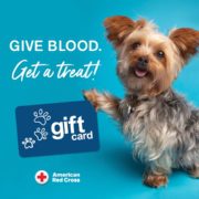 March 7 Blood Drive in Little Falls