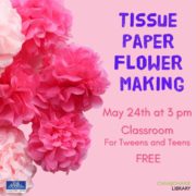 Tissue Paper Flowers at the Arkell Museum and Canajoharie Library
