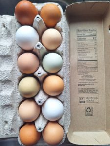 Carton of multicolored eggs available at Tylutki Family Farms. Photo courtesy of Tylutki Family Farms.