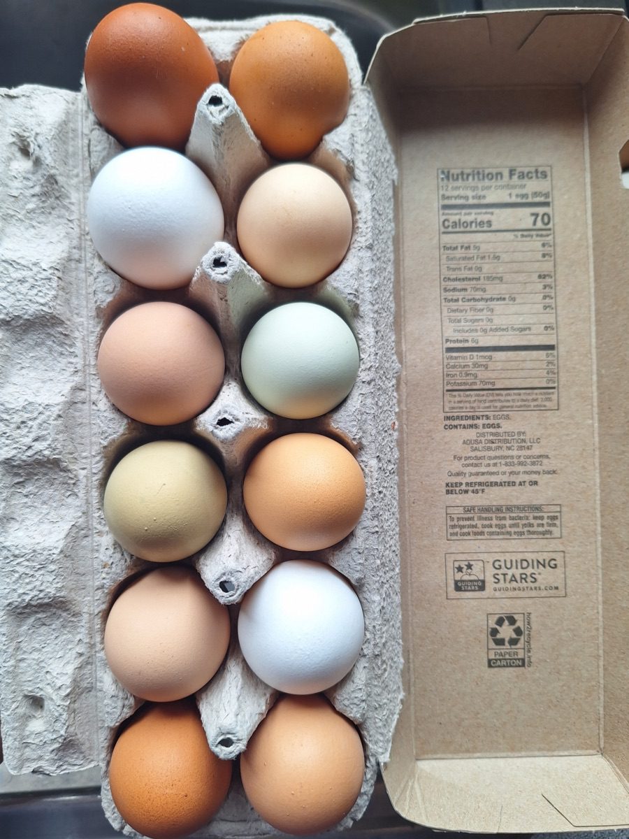 Carton of multicolored eggs available at Tylutki Family Farms. Photo courtesy of Tylutki Family Farms.