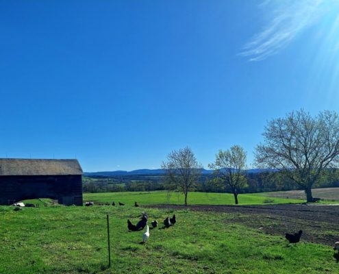 View of Tylutki Family Farms. Photo courtesy of Tylutki Family Farms.