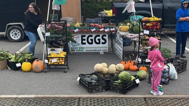 West End Farm, Herkimer NY
