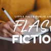 Flash Fiction at the Little Falls Public Library