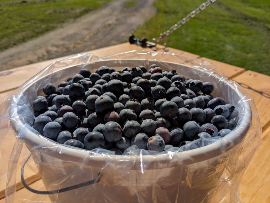 Bellinger’s Orchard, image by Bellinger’s Orchard