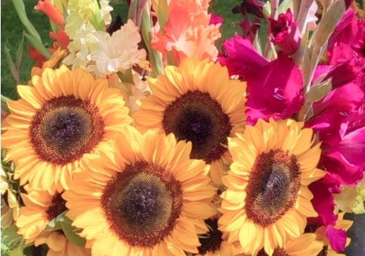 Free Flow Farm, image by Free Flow Farm