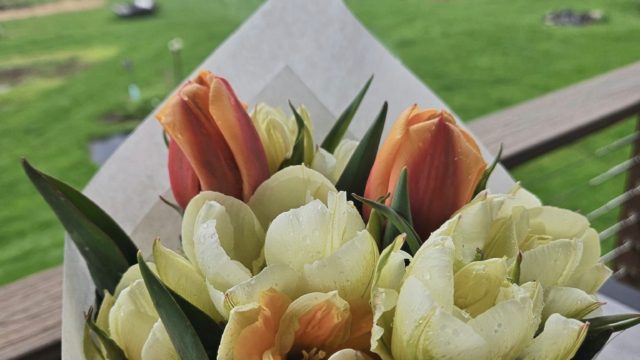 Free Flow Farm, image by Free Flow Farm