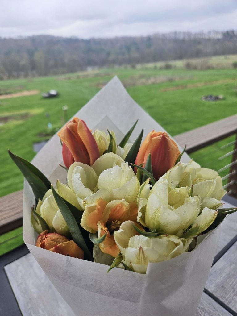 Free Flow Farm, image by Free Flow Farm