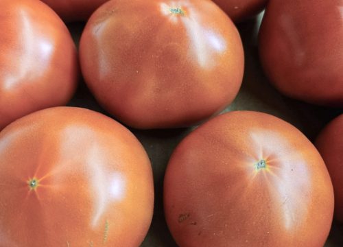 Free Flow Farm, image by Free Flow Farm