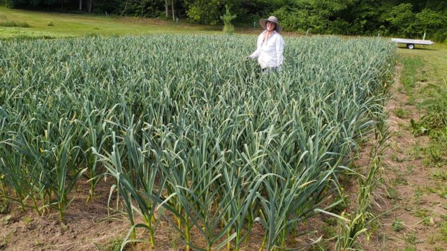 Free Flow Farm, image by Free Flow Farm