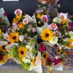 Spongwetta’s Garden, image by Spongetta’s Garden.