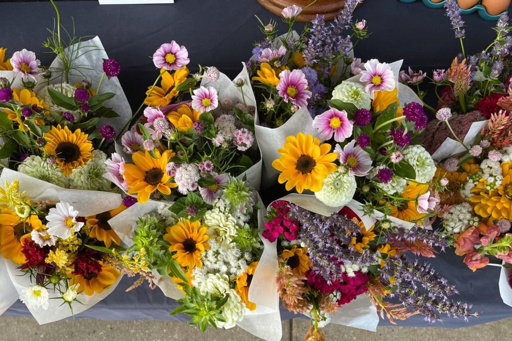 Spongwetta’s Garden, image by Spongetta’s Garden.