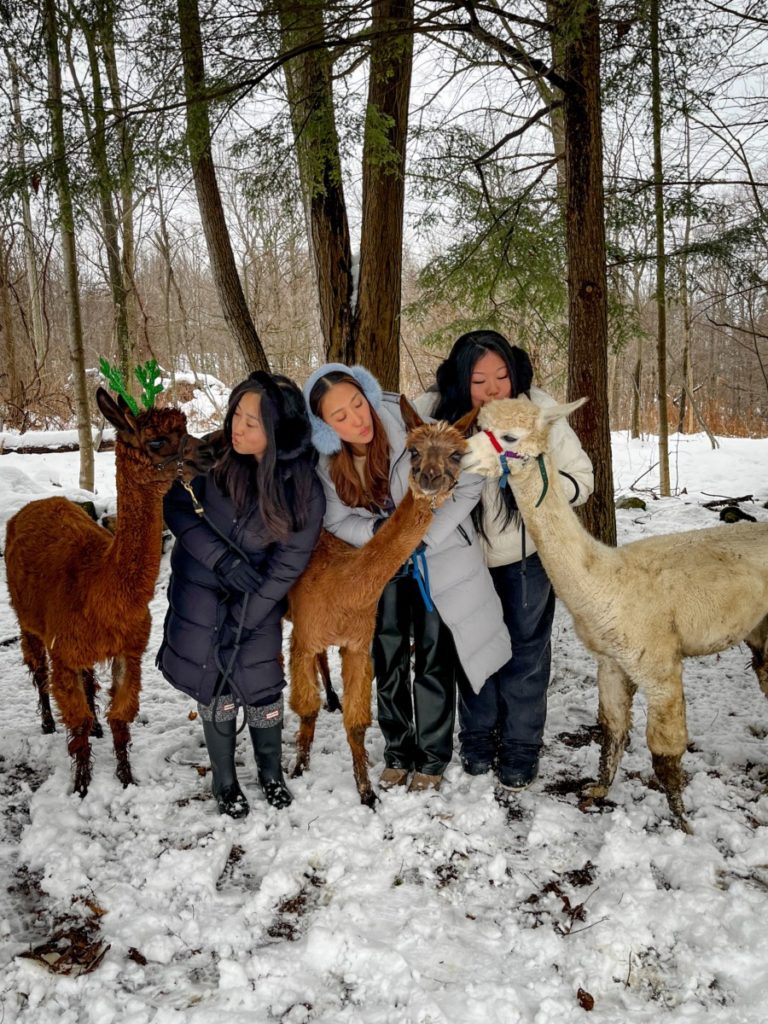 Lyons Family Farm, image by Lyons Family Farm