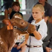 Herkimer County Fair