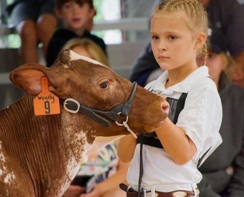 Herkimer County Fair