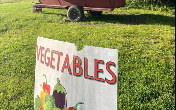 Boepple Family Garlic Farm, images by