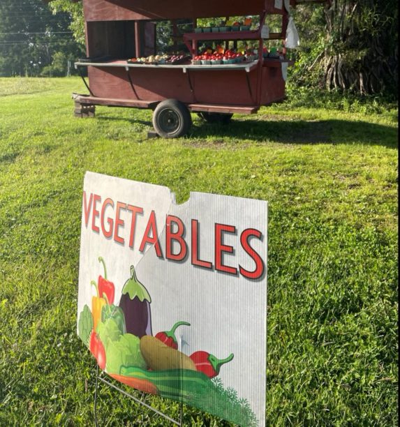 Boepple Family Garlic Farm, images by